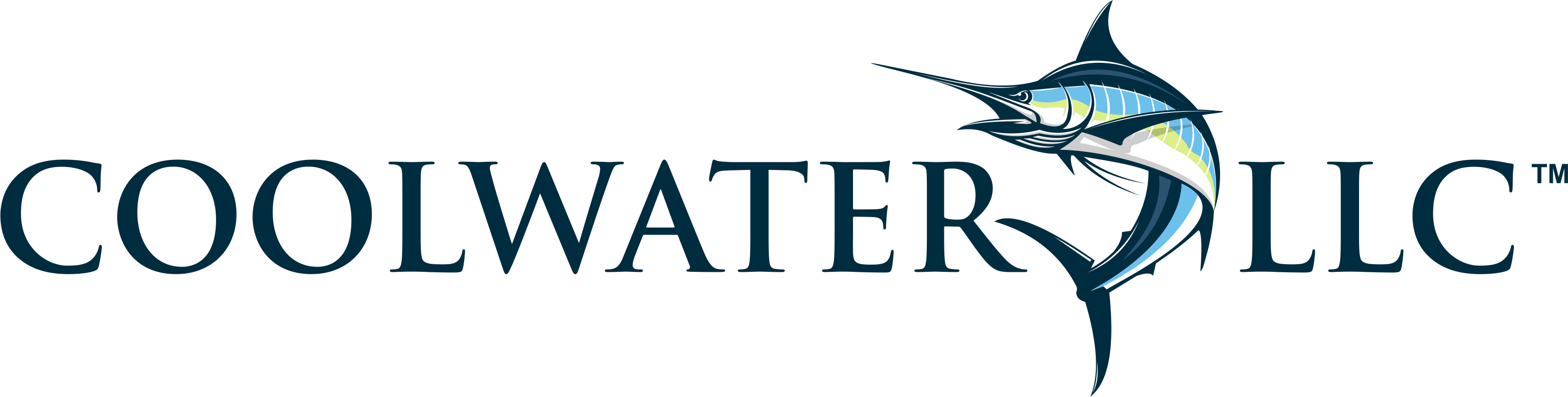 Coolwater LLC Logo - Custom Software Development